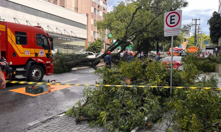 Ciclone provoca ventos de até 80 km/h e causa transtornos em Florianópolis