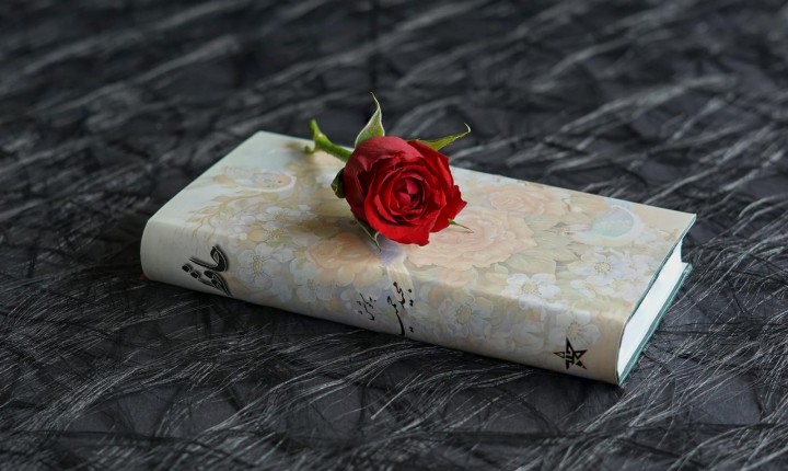 Um poema por dia, por Luzia Almeida