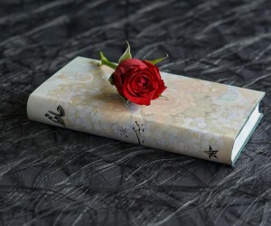 Um poema por dia, por Luzia Almeida