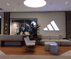 Bambu ganha espaço na arquitetura contemporânea