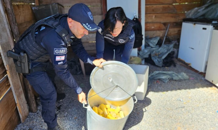 Operação na Praia da Daniela apreende carrinhos ilegais
