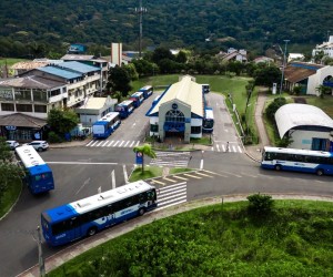 Floripa terá oito domingos com ônibus gratuito