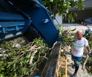 Coleta de resíduos verdes retoma calendário em Floripa