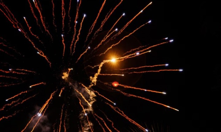 Barulho dos fogos causa estresse em diferentes espécies