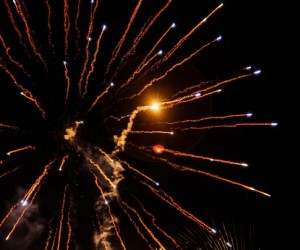 Barulho dos fogos causa estresse em diferentes espécies