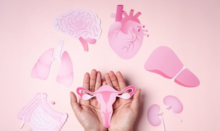 Verão exige atenção redobrada à saúde íntima feminina