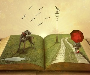 Como as páginas de um livro, por Luzia Almeida