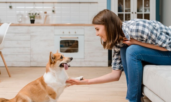 Novo ano marca começo consciente da vida com pet