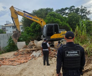 Nove edificações ilegais são removidas em área protegida