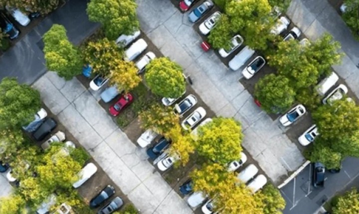 Projeto propõe árvores obrigatórias em grandes estacionamentos