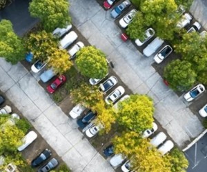 Projeto propõe árvores obrigatórias em grandes estacionamentos