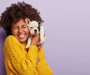Novo pet em casa pede paciência e estratégia