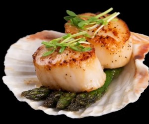 Alta gastronomia aposta na delicadeza da vieira