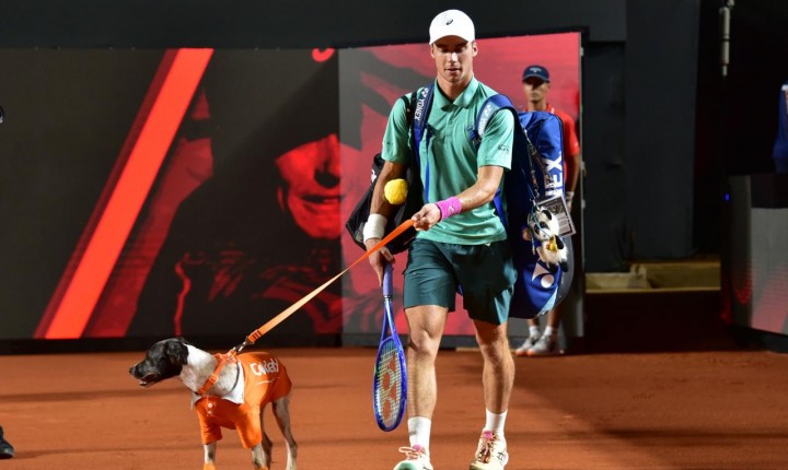Cães resgatados emocionam público no Rio Open