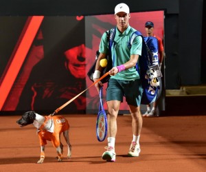 Cães resgatados emocionam público no Rio Open
