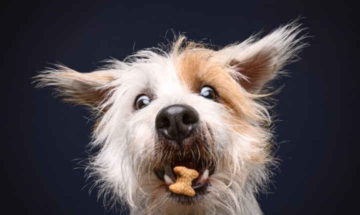Snacks além do agrado ganham função estratégica
