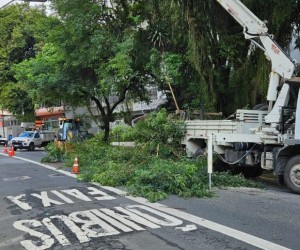 Intervenção na rede elétrica impacta via da Lagoa