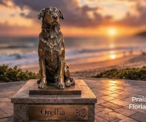 Campanha busca eternizar o cão Orelha em Floripa