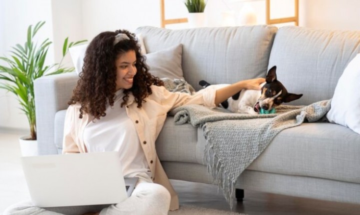 Rotina previsível é sinônimo de pet feliz