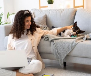 Rotina previsível é sinônimo de pet feliz