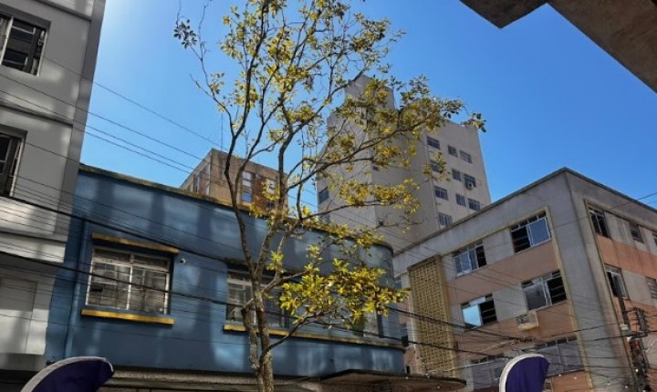 Centro de Floripa inicia nova fase arborizada