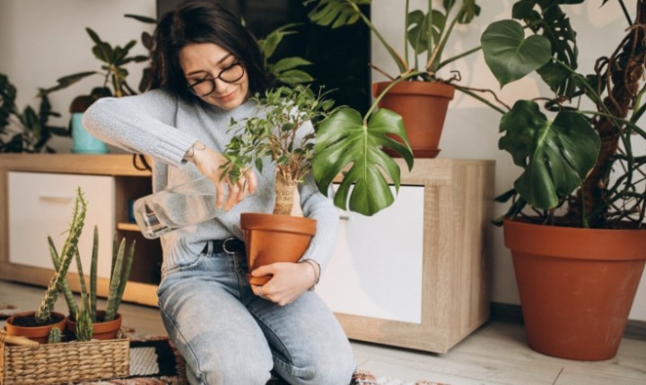 Verde invade interiores e redefine ambientes