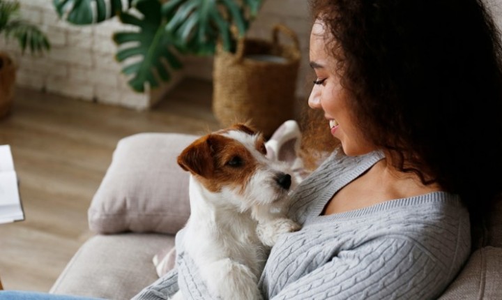Cães ajudam tutores a viver mais e melhor