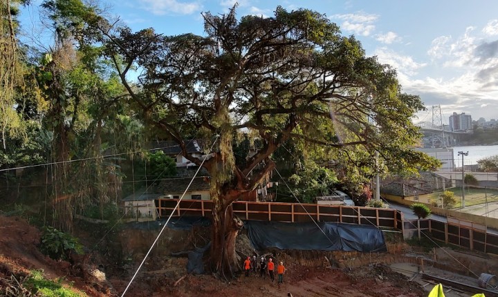 Capital vira palco de debate ambiental estratégico