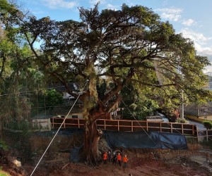 Capital vira palco de debate ambiental estratégico