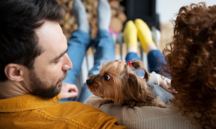 Divórcio inclui pets e gera disputas judiciais