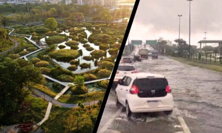 Projeto Cidade Esponja é aprovado por unanimidade