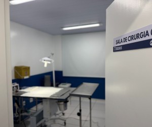 Hospital Cão Orelha registra alta procura
