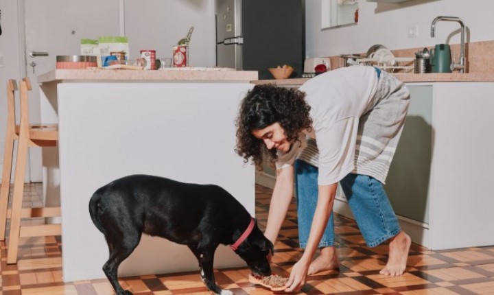 Estratégia reduz ansiedade e desacelera alimentação dos cães