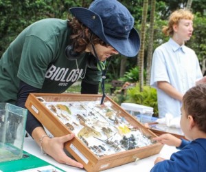 Jornada Verde ocupa parques e fortalezas históricas
