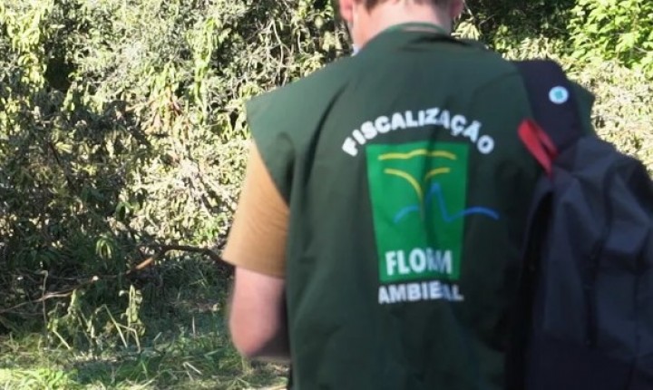 Justiça suspende portaria que fragilizava fiscalização ambiental