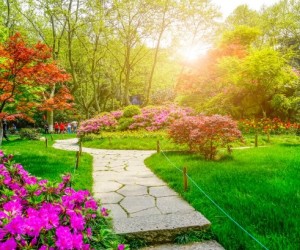 Outono favorece um jardim perfeito