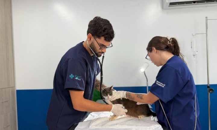 Hospital veterinário alcança 40 mil atendimentos rápidos