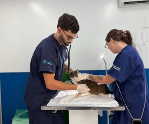Hospital veterinário alcança 40 mil atendimentos rápidos