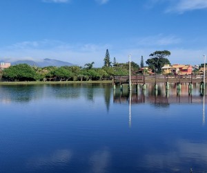Lagoa da Chica recebe limpeza e monitoramento