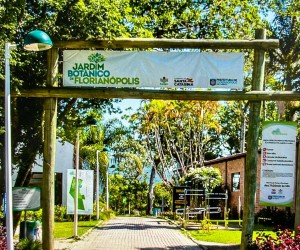 IMPAC celebra Dia Mundial de Proteção aos Manguezais