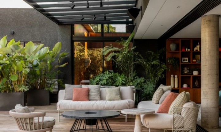 Plantas na decoração: descubra como combinar