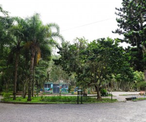 Jardim Lilás será criado em Florianópolis