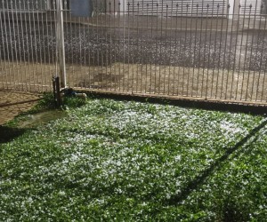 Chuva e granizo atingem Florianópolis; Defesa Civil mantém alerta