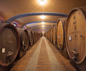 Quando vale a pena guardar um vinho?