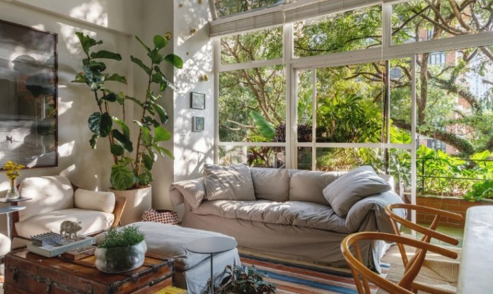 Saiba como usar plantas na decoração