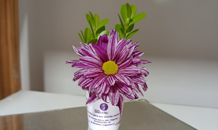 Flores viram arte em oficina gratuita