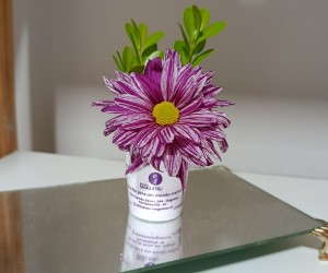 Flores viram arte em oficina gratuita