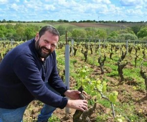 Uvas ácidas demais para o seu tempo, por Eduardo Araujo