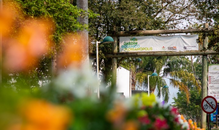 Jardim Botânico celebra 10 anos com novidades