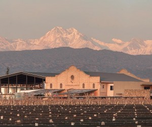 Mendoza vai muito além dos vinhos Malbec